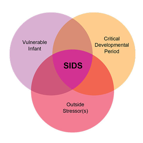 SIDS_TripleRisk